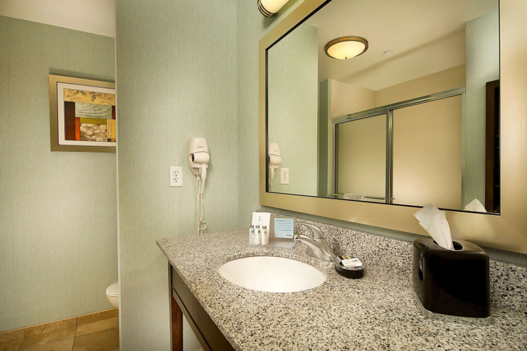 Bathroom 5, Hampton Inn Pampa, Gray