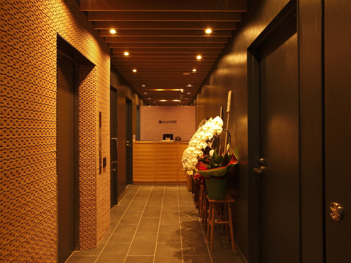 Others 4, HOTEL AMANEK Ginza East, Chūō