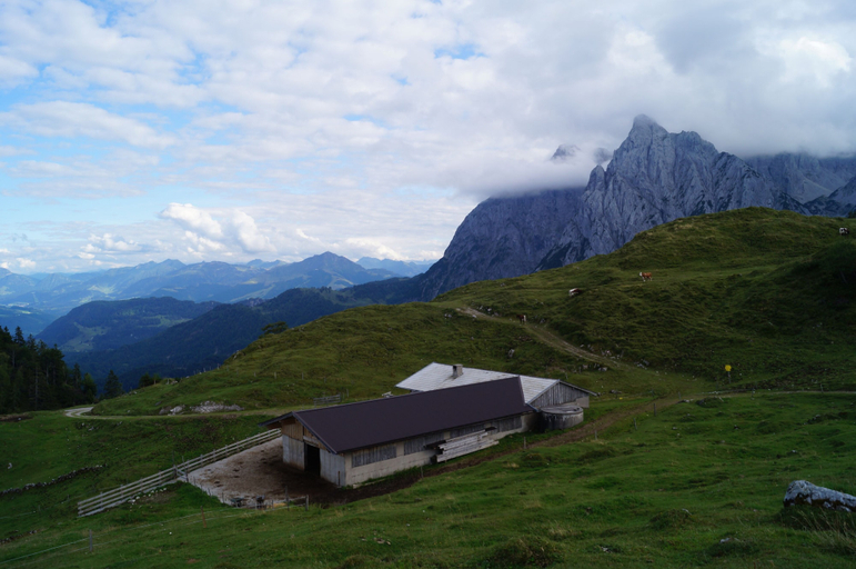 Others 5, Schneiderbauer, Kitzbühel
