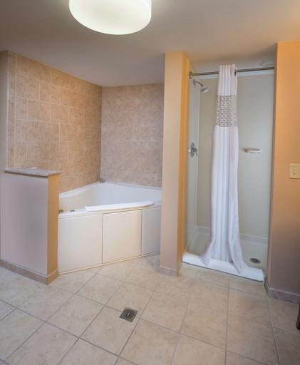 Bathroom 4, Hampton Inn Bennington, Bennington