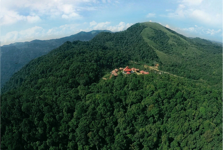 Others 1, Wild Planet Resort, The Nilgiris