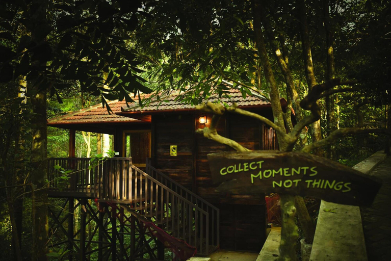Exterior & Views 2, Wild Planet Resort, The Nilgiris