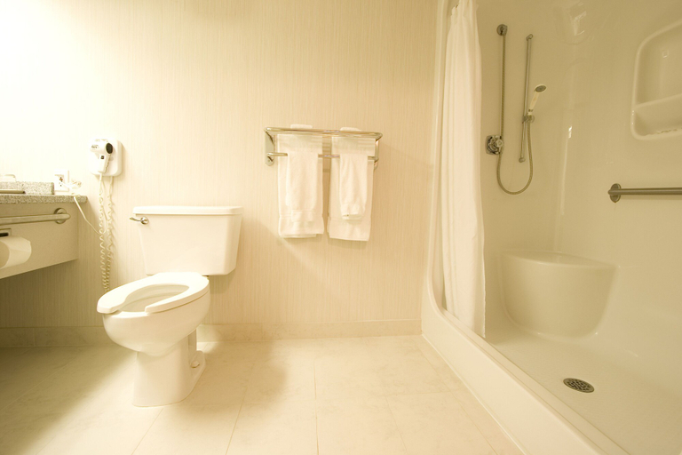 Bathroom 4, Woodlands Inn & Suites, Northern Rockies