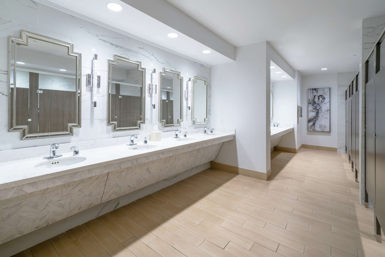 Bathroom 4, Hilton Garden Inn Pittsburgh/Southpointe, Washington