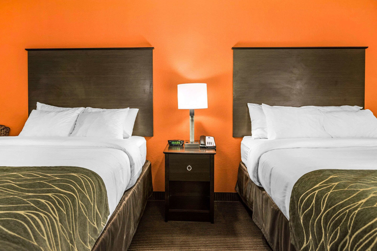 Bedroom 3, Comfort Inn Wings Stadium, Kalamazoo