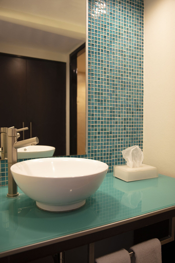 Bathroom 4, Fiesta Inn Guadalajara Expo, Zapopan