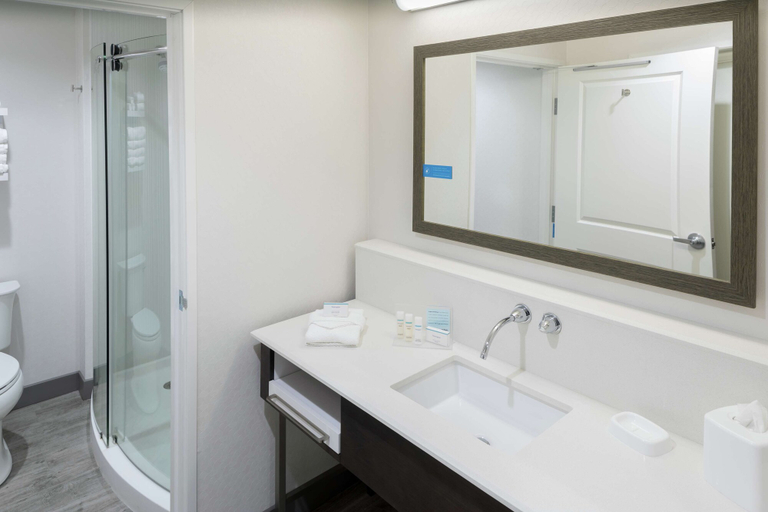 Bathroom 4, Hampton Inn & Suites Asheville Biltmore Area, Buncombe