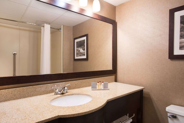 Bathroom 3, Wingate by Wyndham Raleigh South / Garner, Wake