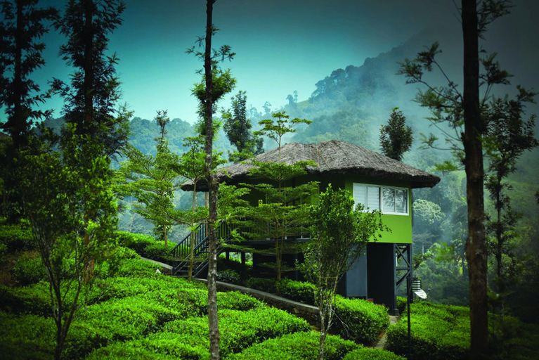 Exterior & Views 2, Wild Planet Resort, The Nilgiris