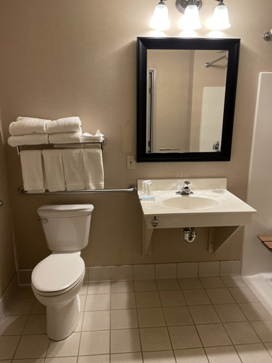 Bathroom 4, Country Inn & Suites by Radisson, Madison, WI, Dane