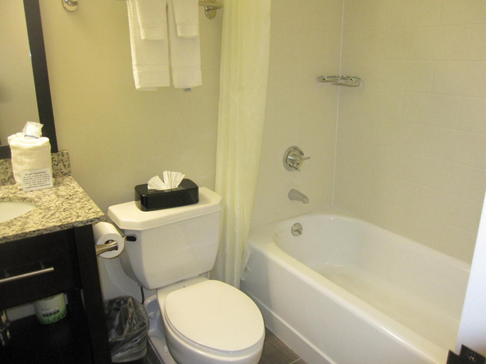 Bathroom 3, Cresthaven Inn JFK, New York
