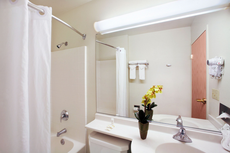 Bathroom 4, Microtel Inn & Suites by Wyndham Modesto Ceres, Stanislaus