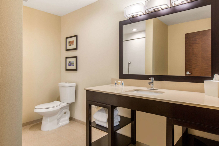Bathroom 4, Comfort Suites - South Austin, Travis