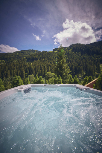 Sport & Beauty 3, Chalet Tannenbaum, Zell am See