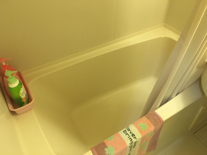 Bathroom 4, Pension New Hamanoso, Ishigaki