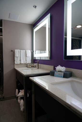 Bathroom 4, La Quinta Inn & Suites by Wyndham Branson, Taney