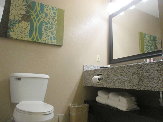 Bathroom 4, Best Western Plus Menomonie Inn & Suites, Dunn