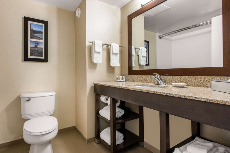 Bathroom 4, Comfort Inn & Suites Red Deer North, Division No. 8