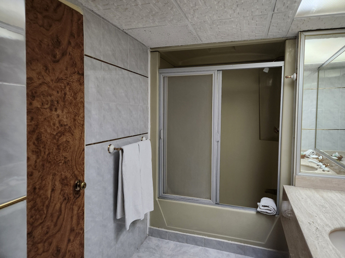 Bathroom 3, REAL DEL SUR HOTEL, Mexico City