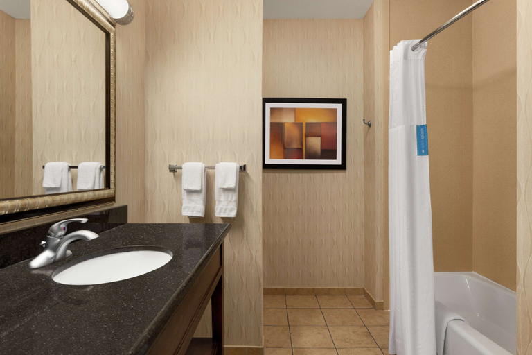 Bathroom 4, Hampton Inn Sulphur Springs, Hopkins