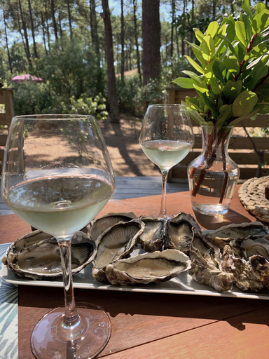 Food & Drinks 5, Chalet Mavalear Naturiste la Jenny, Gironde