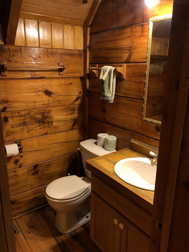 Bathroom 5, Gatlinburg Adventure Cabins, Sevier
