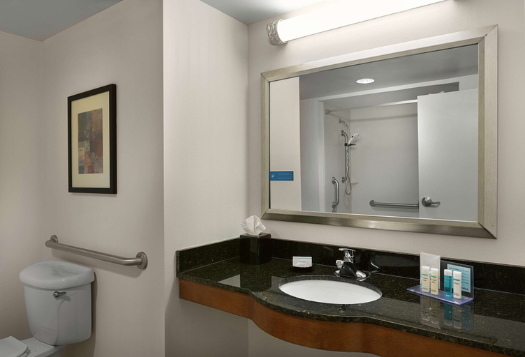 Bathroom 4, Hampton Inn Charlotte-Belmont at Montcross, Gaston