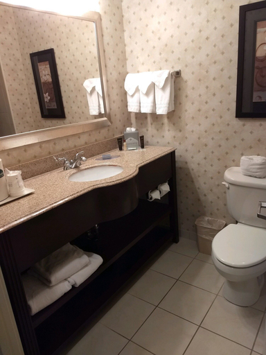 Bathroom 5, Wingate by Wyndham New Braunfels, Comal