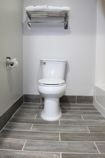 Bathroom 4, Westbridge Inn & Suites Carrollton, Carroll