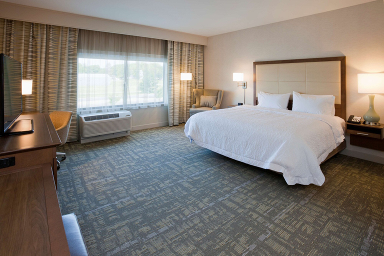 Bedroom 3, Hampton Inn Spicer Green Lake, Kandiyohi