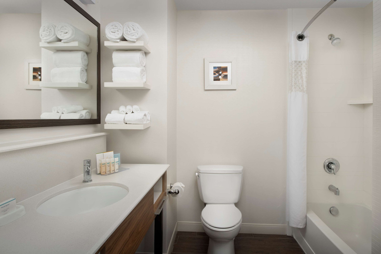 Bathroom 4, Hampton Inn & Suites Phoenix Tempe, Maricopa