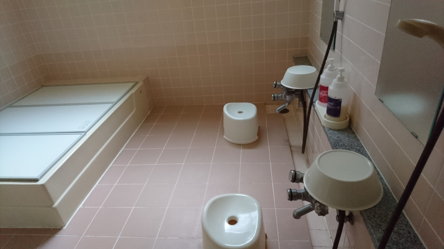 Bathroom, Apple Inn Takasaka, Nozawaonsen