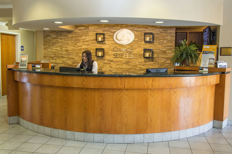 Public Area 3, Comfort Suites Visalia Convention Center, Tulare