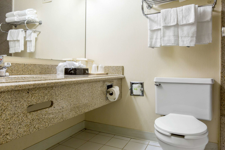 Bathroom 3, Quality Inn Ledgewood - Dover, Morris
