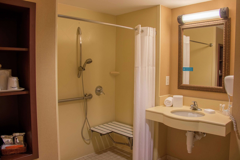 Bathroom 4, Hampton Inn Murphy, Cherokee