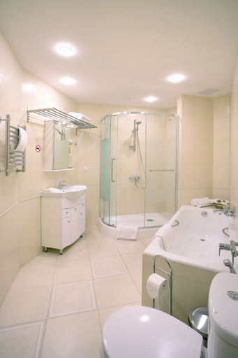 Bathroom 3, Hotel Maroseyka 2/15, Central