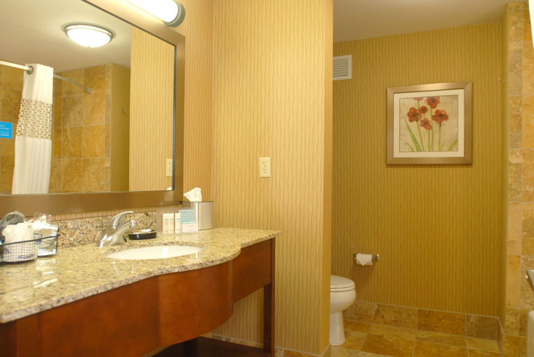 Bathroom 5, Hampton Inn Tomah, Monroe