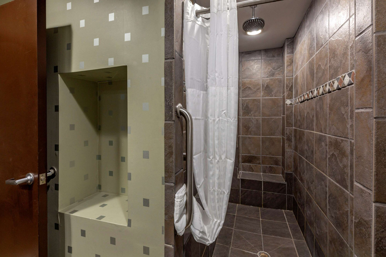 Bathroom 5, Comfort Suites Perrysburg - Toledo South, Wood