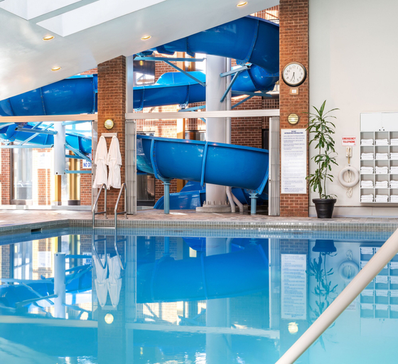 Sport & Beauty 2, Hilton Mississauga/Meadowvale, Peel
