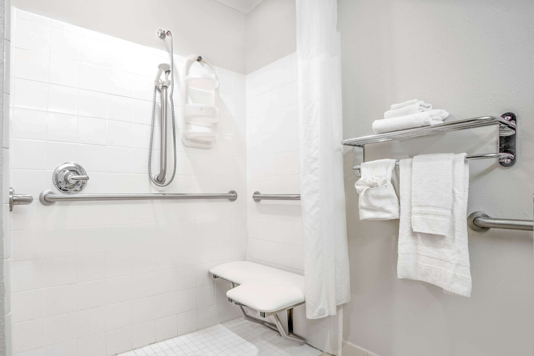 Bathroom 4, Microtel Inn & Suites by Wyndham Bremen, Carroll