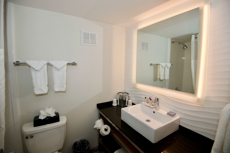 Bathroom 4, Ramada by Wyndham Austin South, Travis