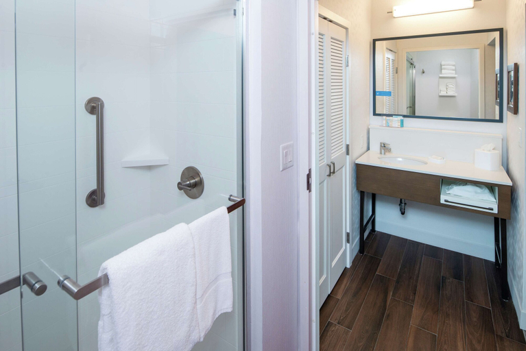 Bathroom 4, Hampton Inn & Suites Binghamton/Vestal, Broome