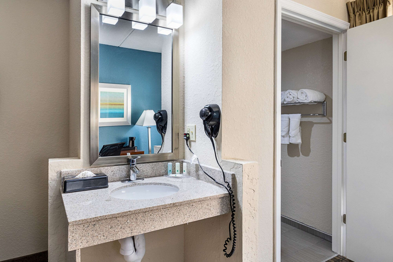 Bathroom 4, Quality Inn & Suites Heritage Park, Osceola