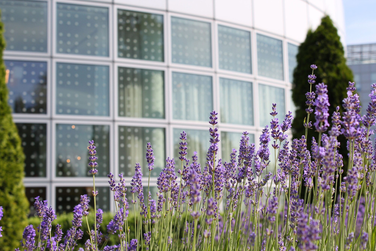 Exterior & Views 2, Hilton Munich Airport, Erding