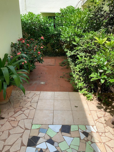 Others 5, Studio in Tropical Garden, Dakar