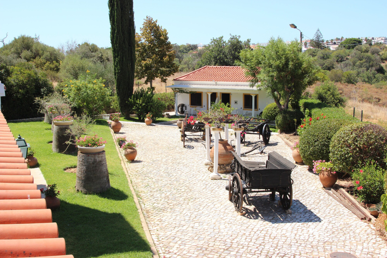 Exterior & Views 5, Muthu Balaia Sol, Albufeira