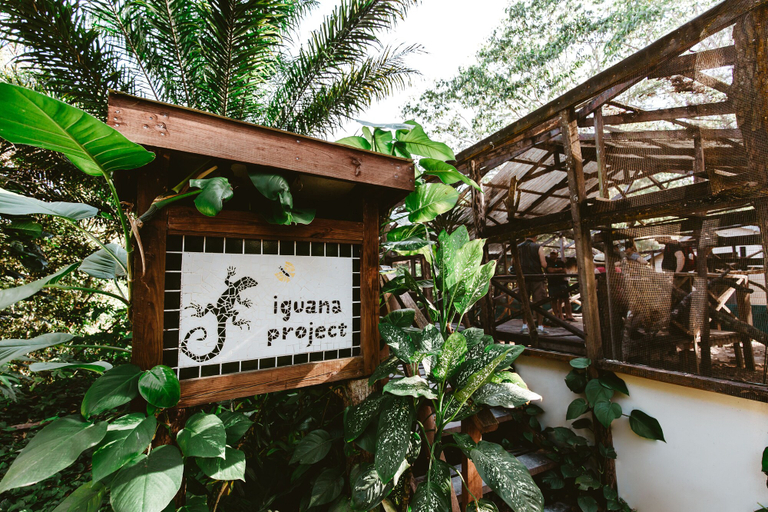 Exterior & Views 2, San Ignacio Resort Hotel