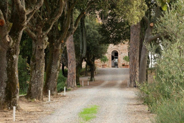 Others 5, Poggio Piglia, Siena