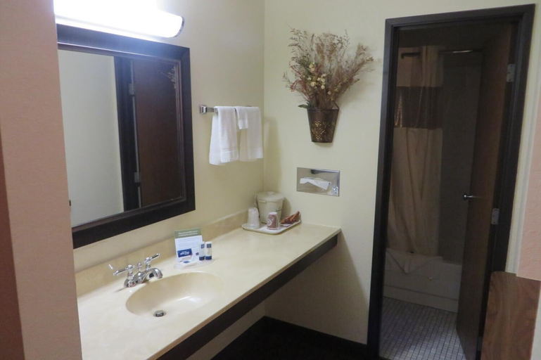 Bathroom 4, AmericInn by Wyndham Forest Lake, Washington