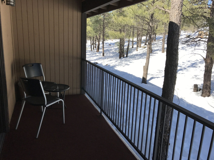 Others 5, Motel In The Pines, Coconino